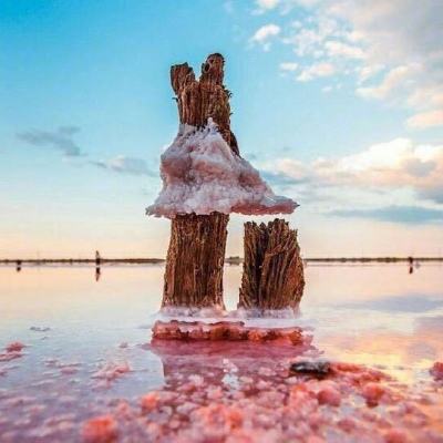 365体育中国官方网站