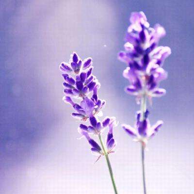 BOB体育综合app官网入口