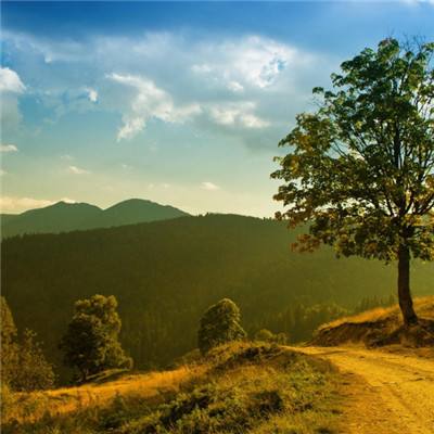 皇冠官网app下载安装